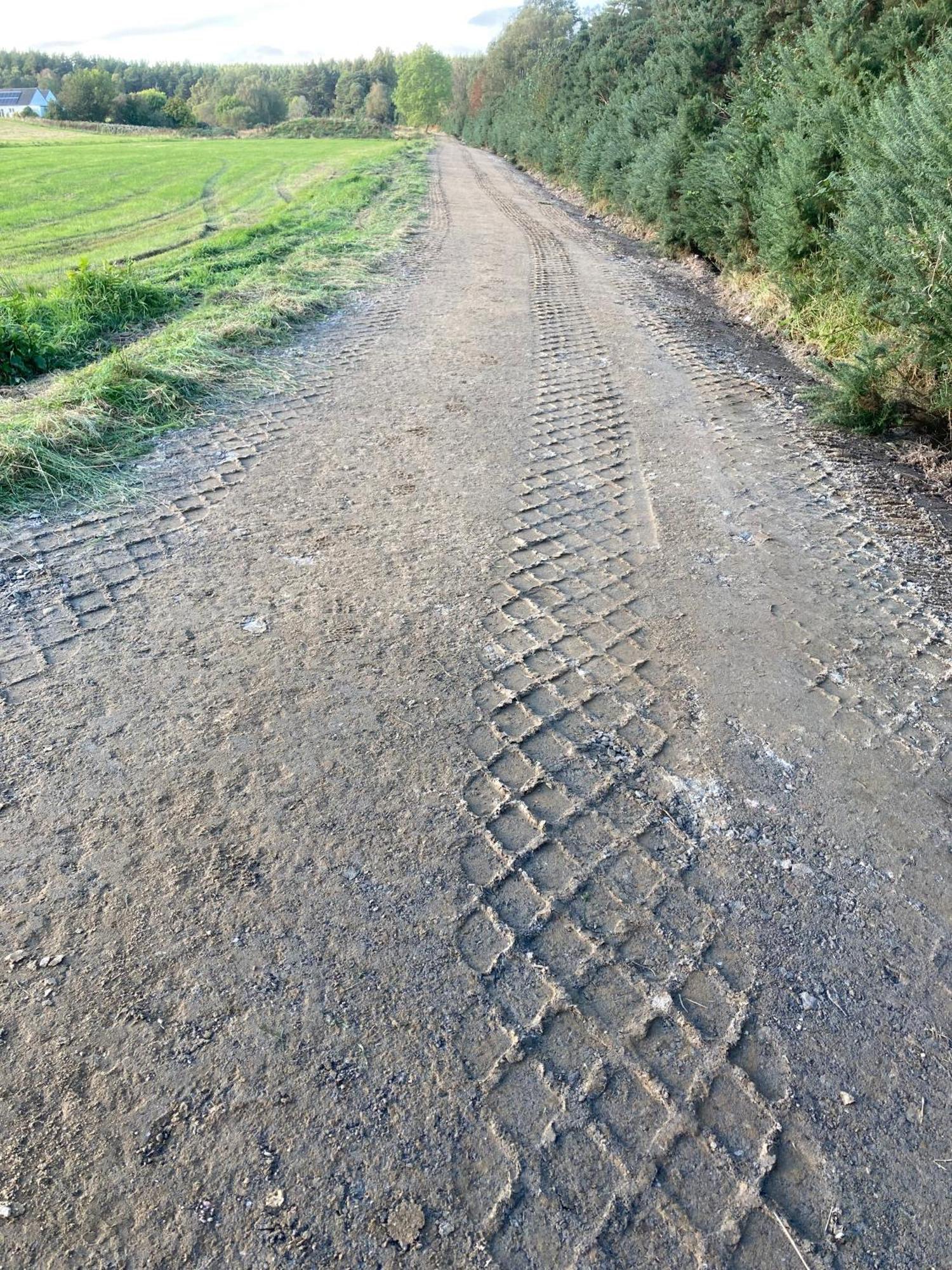 Clashmore Wood Dornoch Buitenkant foto