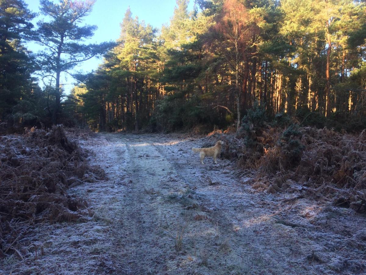 Clashmore Wood Dornoch Buitenkant foto